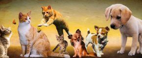 3d同人动漫排行榜封面图，多部热门作品缩略图拼贴，展现丰富的题材类型